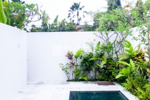 1 bedroom Villa in Kerobokan, Indonesia No. 23274 14