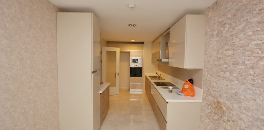 4+1 Apartment in Istanbul, Turkey No. 14794