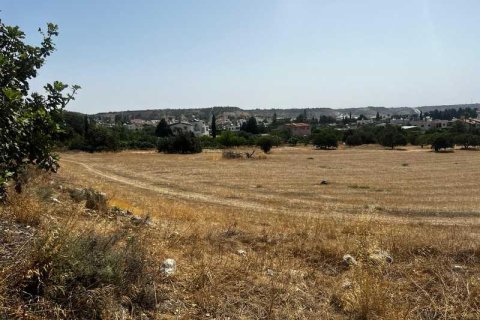 15558m² Land à Pyla, Cyprus No. 41492 4