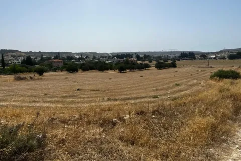 15558m² Land in Pyla, Cyprus No. 41492 3