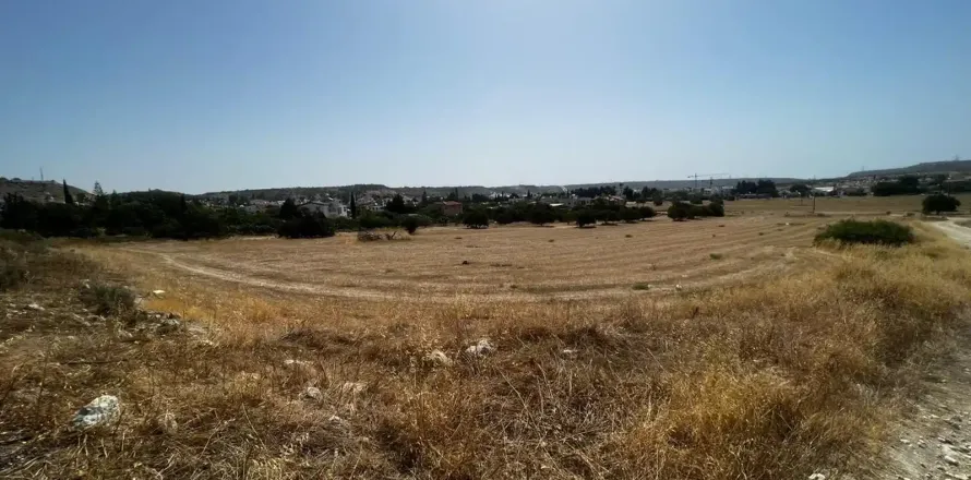 15558m² Land in Pyla, Cyprus No. 41492