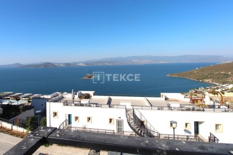 1+1 Penthouse in Milas, Turkey No. 66329 19