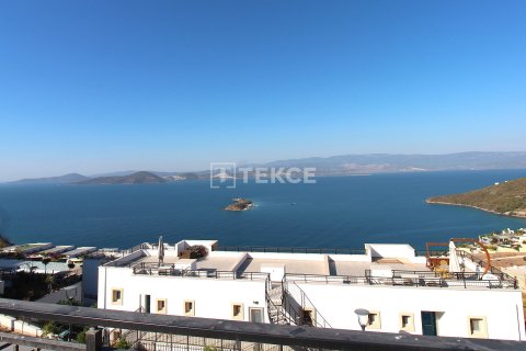 1+1 Penthouse in Milas, Turkey No. 66329 1