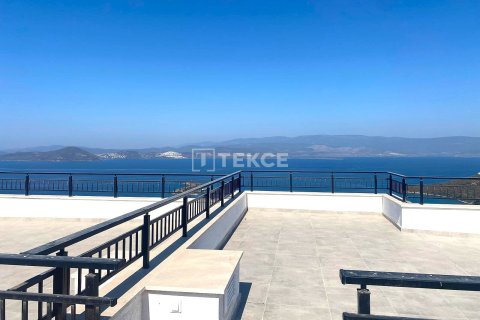 1+1 Penthouse in Milas, Turkey No. 66329 7