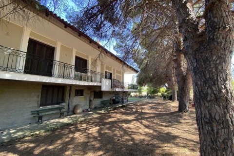 3 dormitorios House en Achaea, Greece No. 54409 17