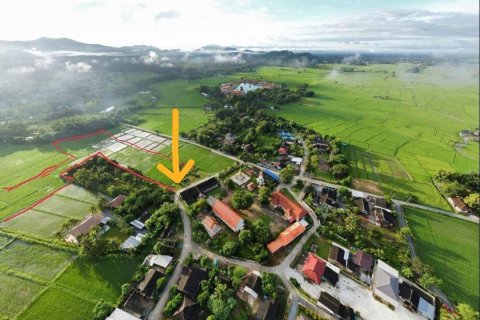 20 bedrooms Land in Chiang Mai, Thailand No. 1382 7