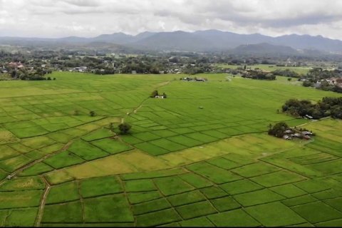 20 dormitorios Land en Chiang Mai, Thailand No. 1382 4