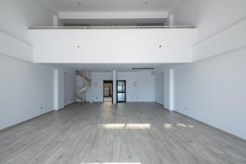 Коммерческая недвижимость 2130м² в Никосия, Кипр №48112 13