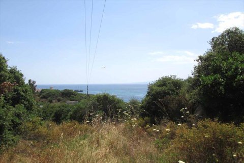 10500m² Land en Chalkidiki, Greece No. 59603 5