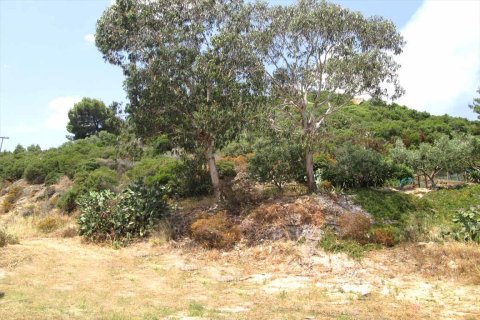 10500m² Land in Chalkidiki, Greece No. 59603 2