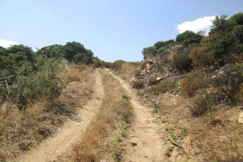 10500m² Land in Chalkidiki, Greece No. 59603 10