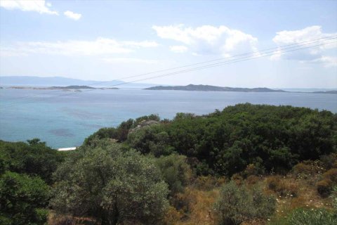 10500m² Land à Chalkidiki, Greece No. 59603 6