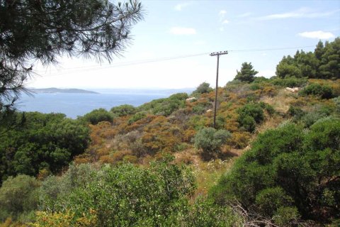 10500m² Land in Chalkidiki, Greece No. 59603 9