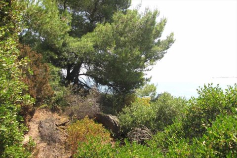 10500m² Land in Chalkidiki, Greece No. 59603 8