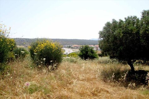 4123m² Land en Chalkidiki, Greece No. 59607 2