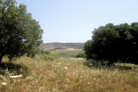 4123m² Land in Chalkidiki, Greece No. 59607 1