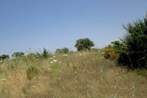 4123m² Land à Chalkidiki, Greece No. 59607 4