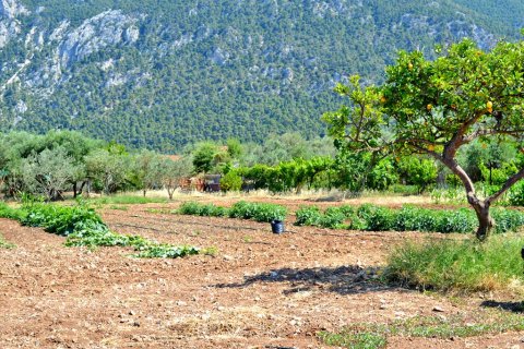 3941m² Land en Loutraki, Greece No. 59609 3