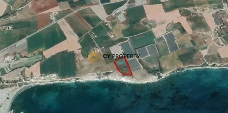 14716m² Land in Mazotos, Cyprus No. 44182