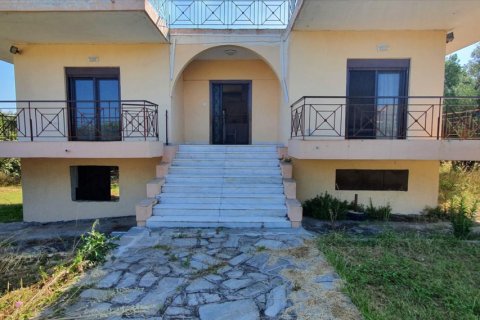 2 chambres Villa à Chalkidiki, Greece No. 61628 1