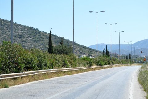 2000m² Land à Markopoulo Mesogaias, Greece No. 58151 2