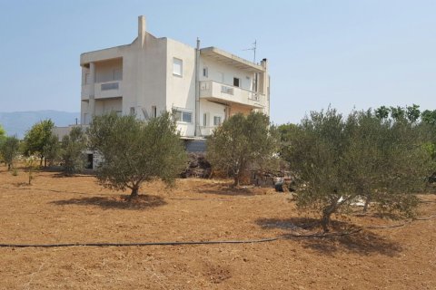 4 dormitorios Maisonette en Corinth, Greece No. 58150 10