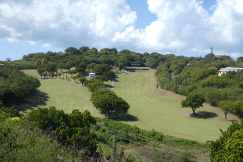 3 chambres Villa à Cedar Valley, Antigua and Barbuda No. 61379 15