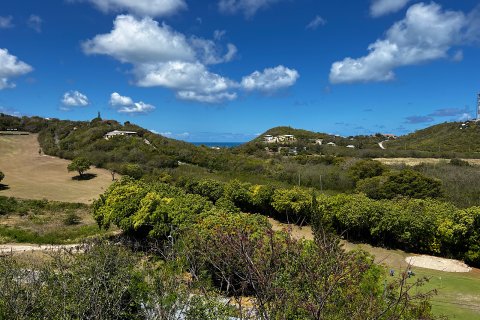 3 bedrooms Villa in Cedar Valley, Antigua and Barbuda No. 61379 3