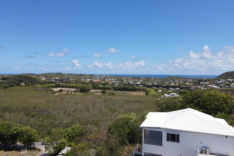 3 chambres Villa à Cedar Valley, Antigua and Barbuda No. 61379 8