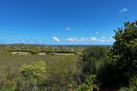 3 chambres Villa à Cedar Valley, Antigua and Barbuda No. 61379 20