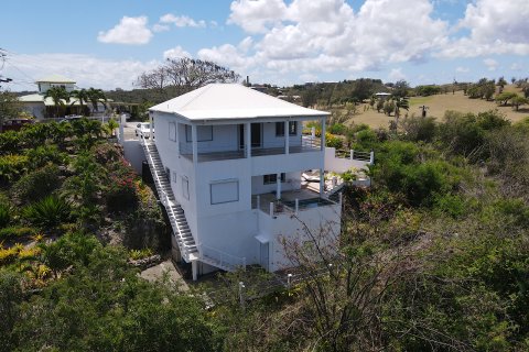 3 chambres Villa à Cedar Valley, Antigua and Barbuda No. 61379 1