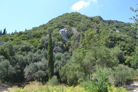 7000m² Land in Corfu, Greece No. 59064 2