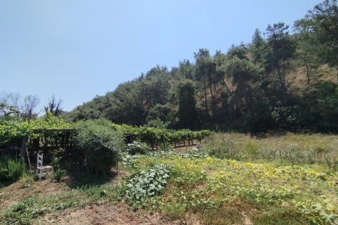 5500m² Land in Thermaic Gulf, Greece No. 55340 2