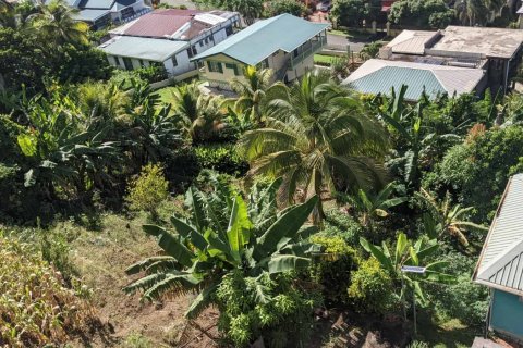 929m² Land à Roseau, Dominica No. 66260 6