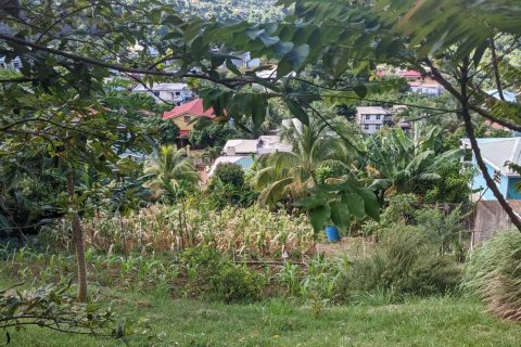 929m² Land à Roseau, Dominica No. 66260 1