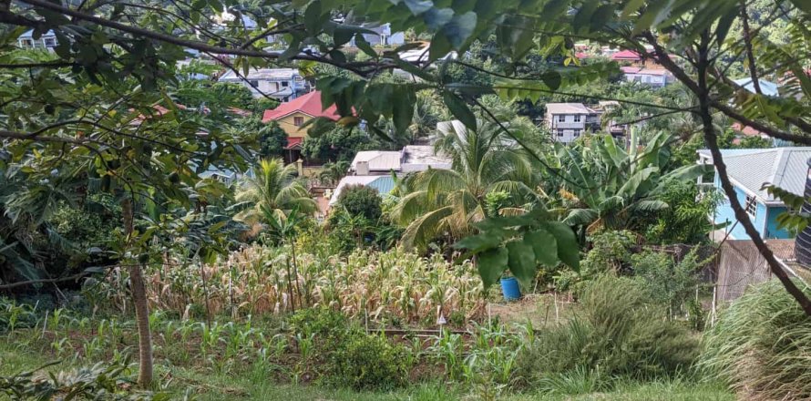 929m² Land à Roseau, Dominica No. 66260