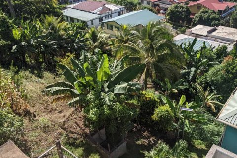 929m² Land in Roseau, Dominica No. 66260 2