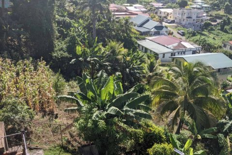 929m² Land en Roseau, Dominica No. 66260 4