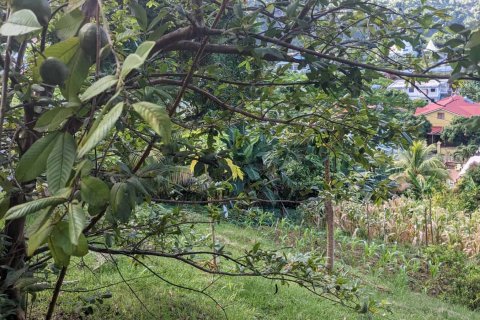 929m² Land in Roseau, Dominica No. 66260 8