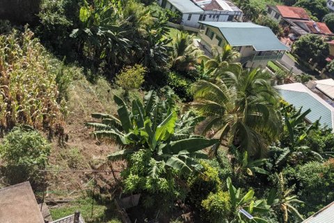 929m² Land à Roseau, Dominica No. 66260 3