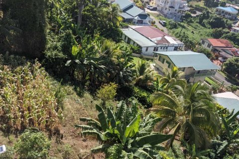 929m² Land en Roseau, Dominica No. 66260 5