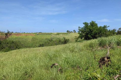 10117m² Land en Saint Paul, Dominica No. 66273 7