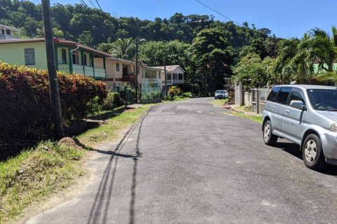 5 chambres Villa à Roseau, Dominica No. 66271 25