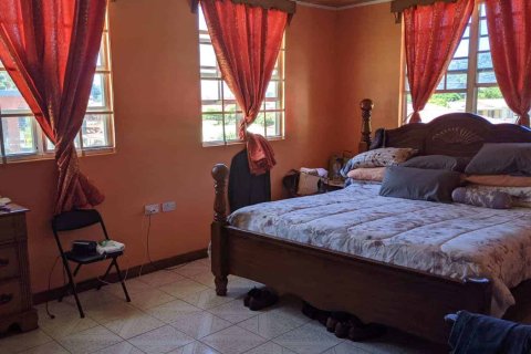 5 bedrooms Villa in Roseau, Dominica No. 66271 13