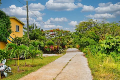 7 chambres Commercial property à Calibishie, Dominica No. 66262 14