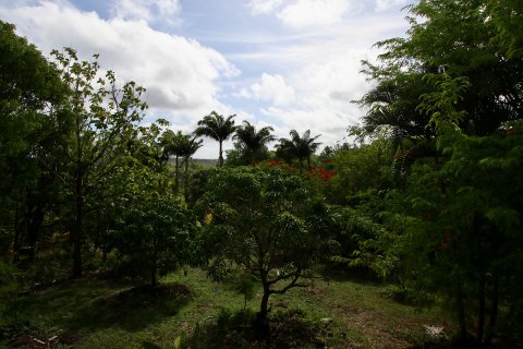 2 chambres Villa à John Hughes / Sawcolts, Antigua and Barbuda No. 61366 6