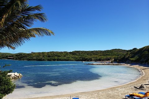 1 chambre Villa à Freetown, Antigua and Barbuda No. 61365 18