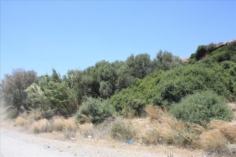 1000m² Land en Chania, Greece No. 57194 1