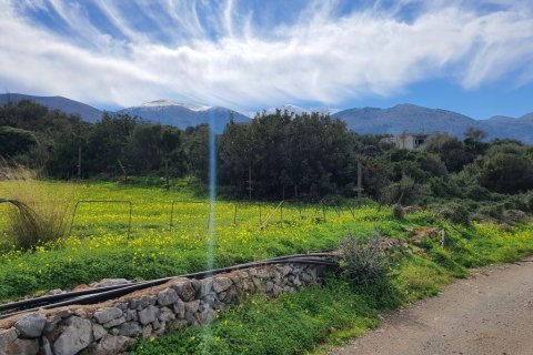 10000m² Land in Lasithi, Greece No. 55683 4