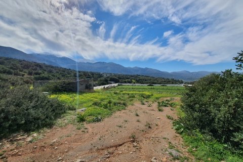 10000m² Land in Lasithi, Greece No. 55683 5